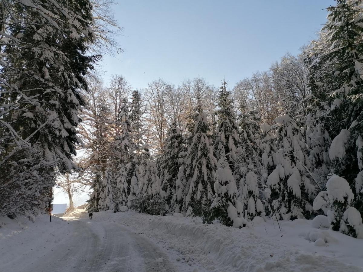 Ferienhof Kehlbauer Гоф-бай-Зальцбург Екстер'єр фото